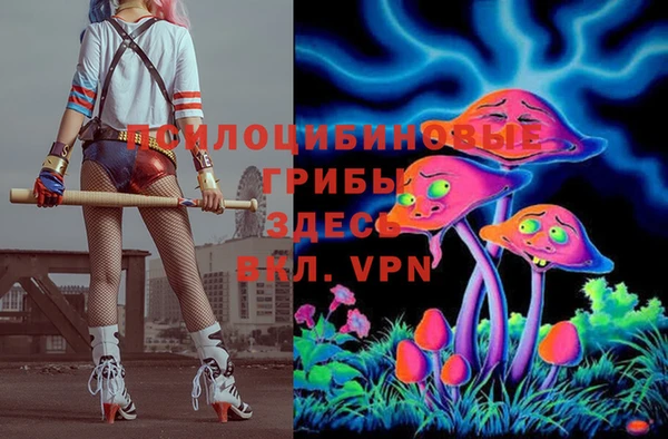 марки lsd Абаза