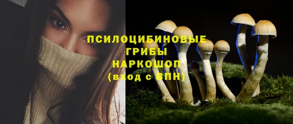 марки lsd Абаза