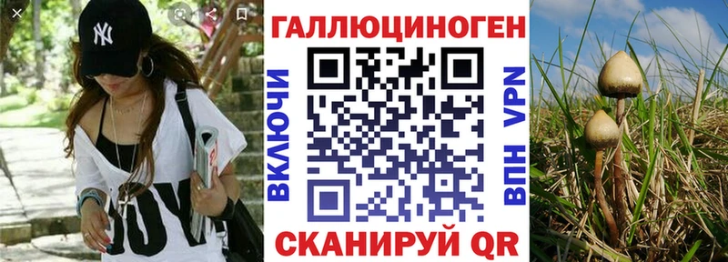 Галлюциногенные грибы ЛСД darknet как зайти Сорск